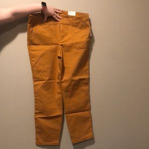 Mustard Pixie Chino Pants
